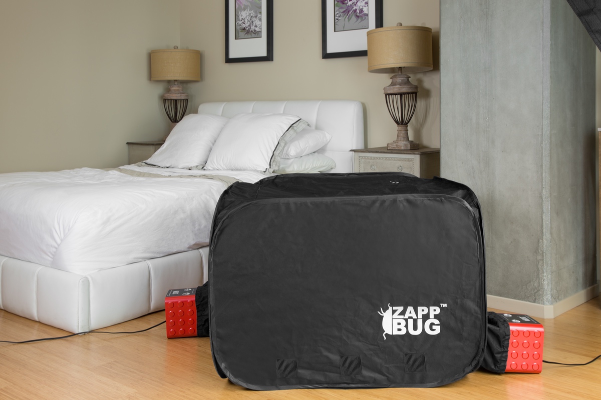 Tentes chauffantes anti-punaises de lit Zappbug : Conseils et astuces
